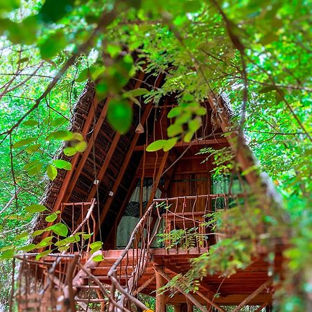 Habarana Tree House Ambasewana Resort エクステリア 写真