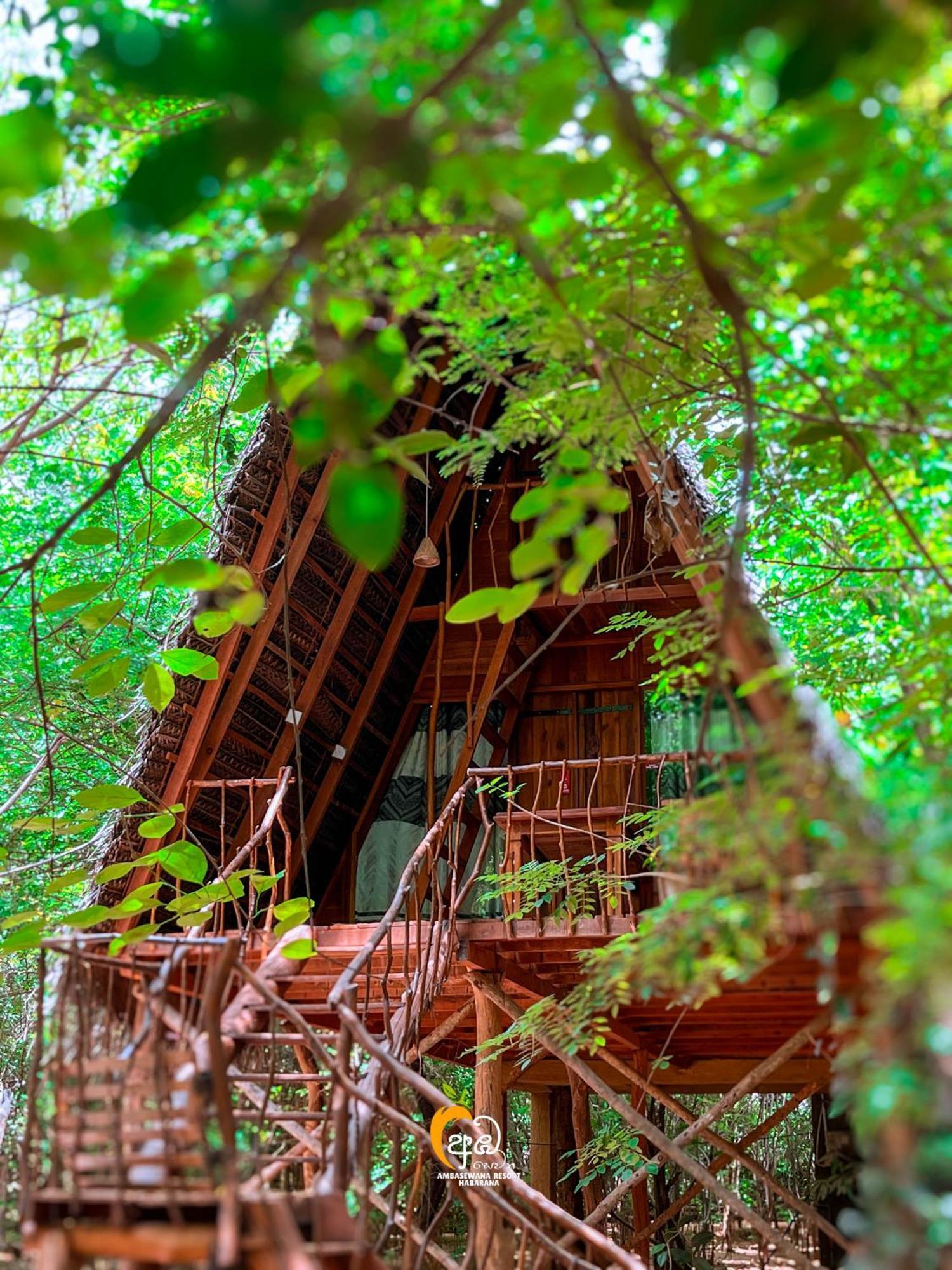 Habarana Tree House Ambasewana Resort エクステリア 写真