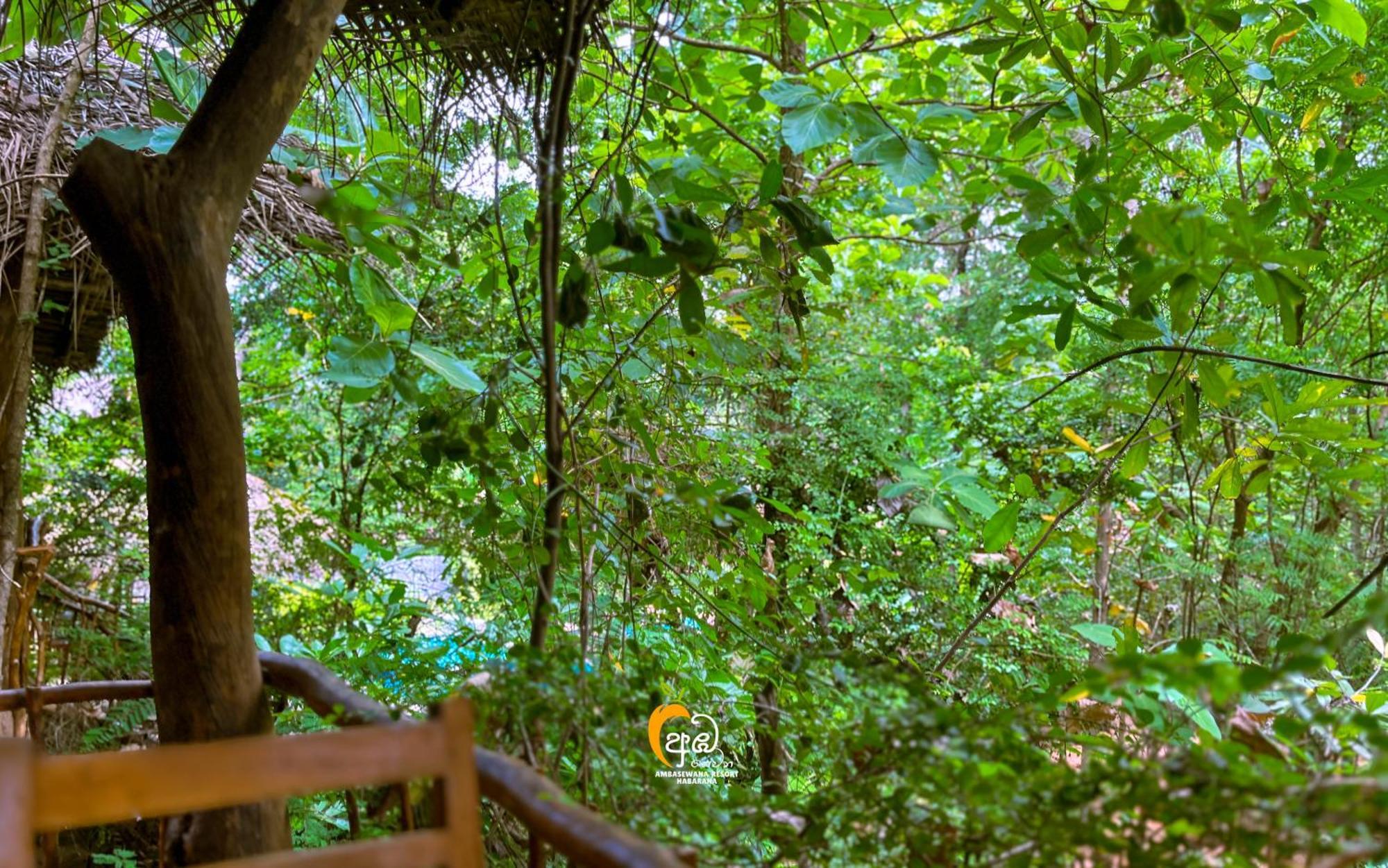 Habarana Tree House Ambasewana Resort エクステリア 写真