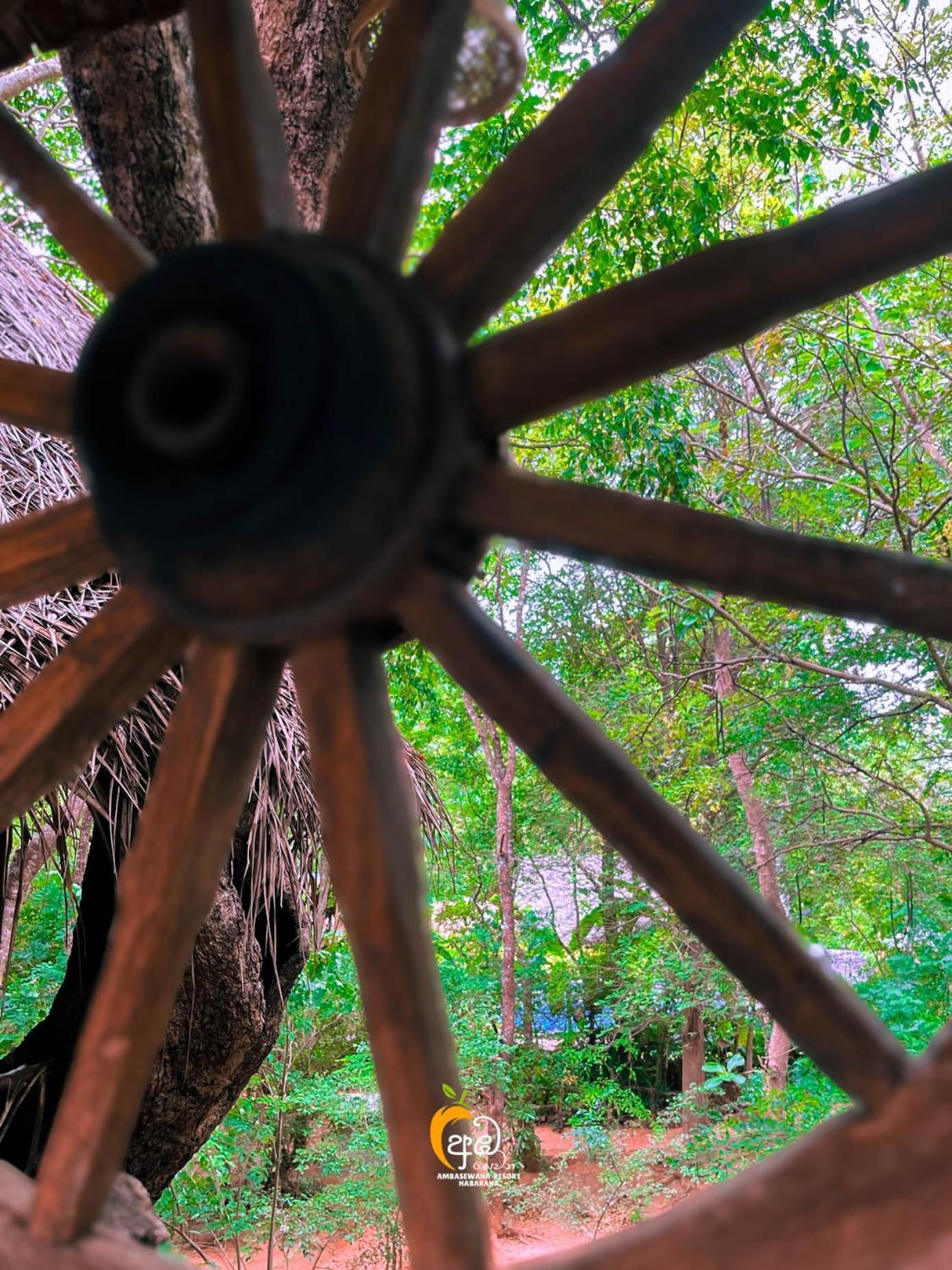 Habarana Tree House Ambasewana Resort エクステリア 写真