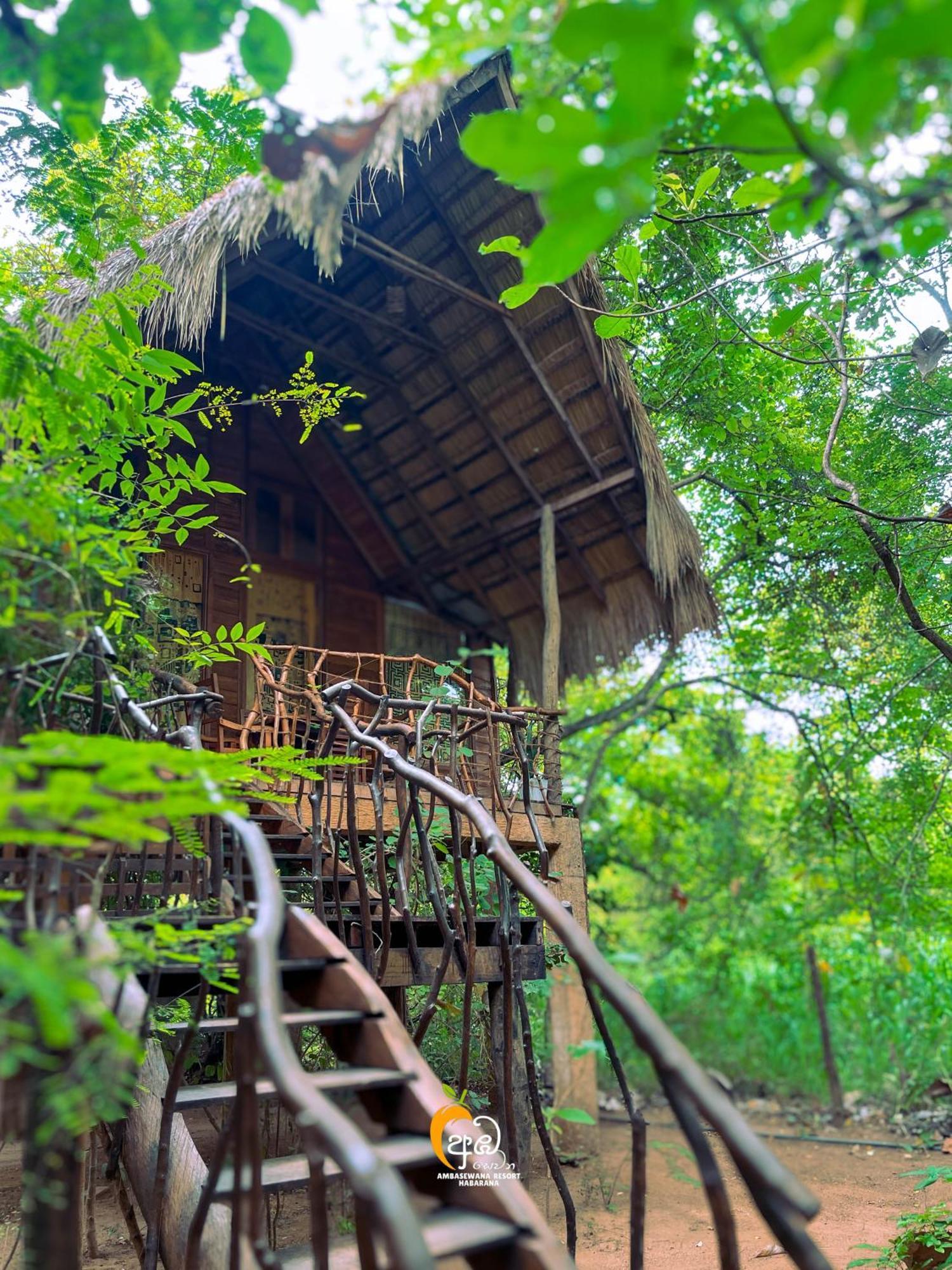 Habarana Tree House Ambasewana Resort エクステリア 写真