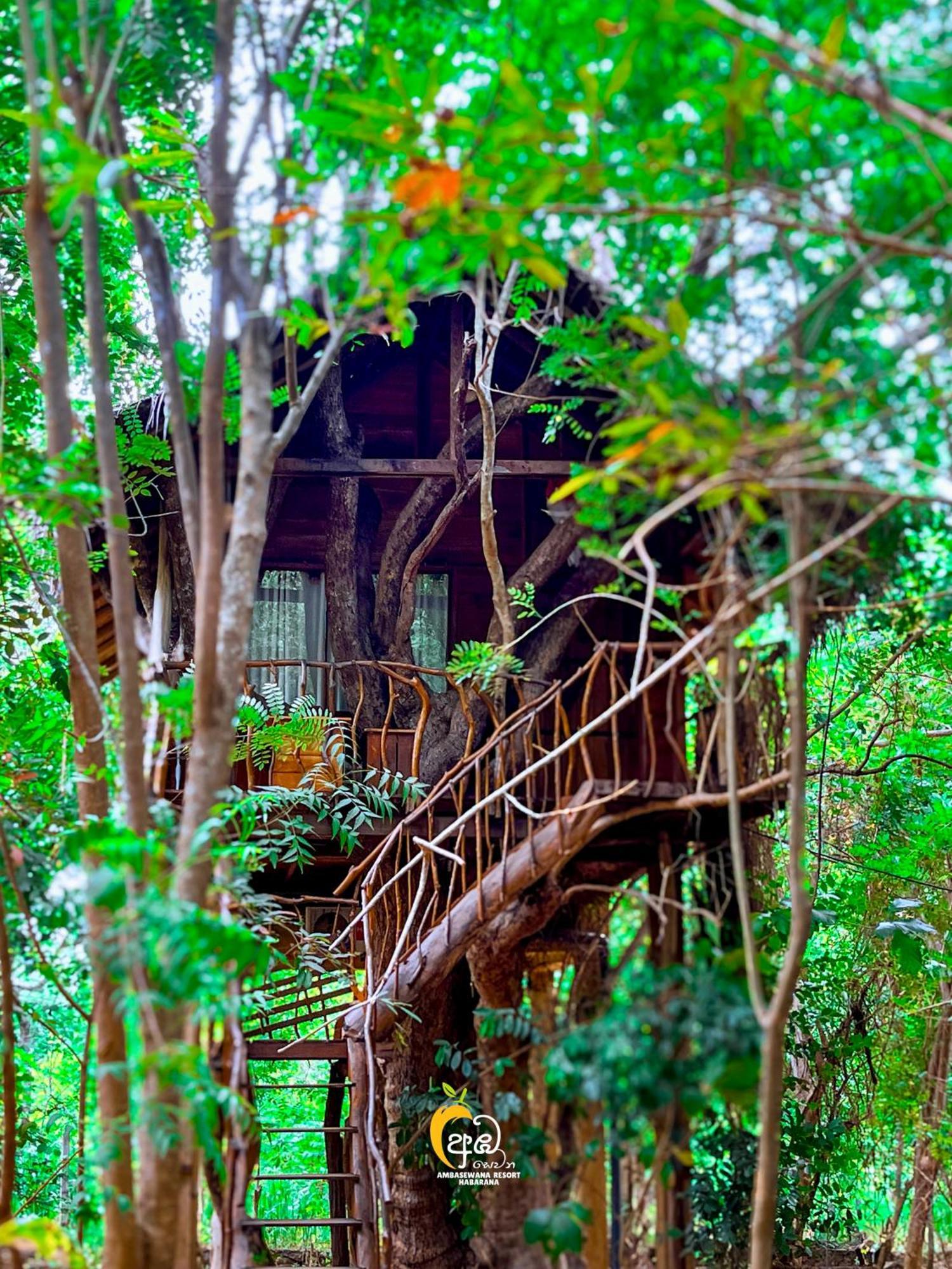 Habarana Tree House Ambasewana Resort エクステリア 写真