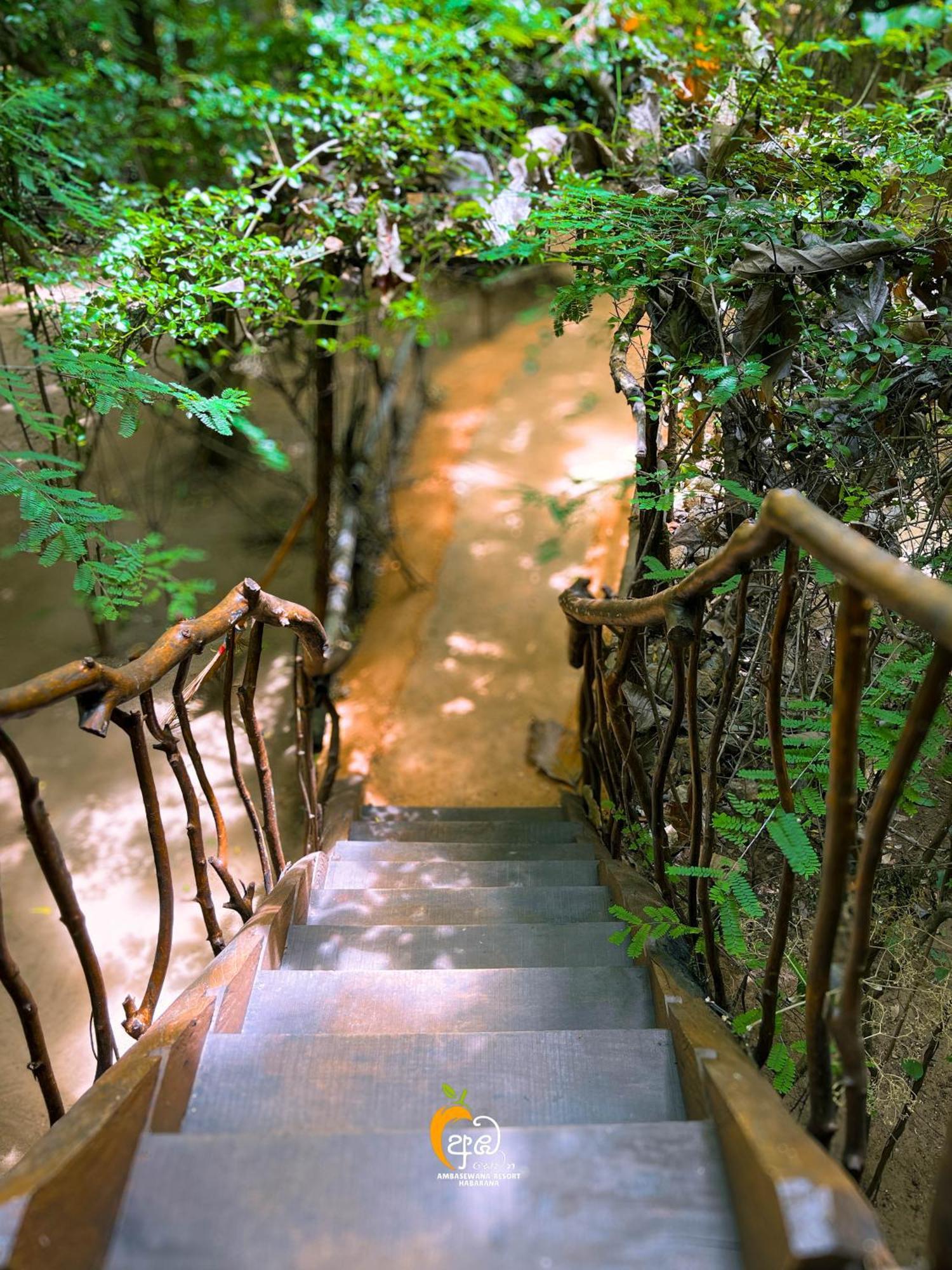 Habarana Tree House Ambasewana Resort 部屋 写真