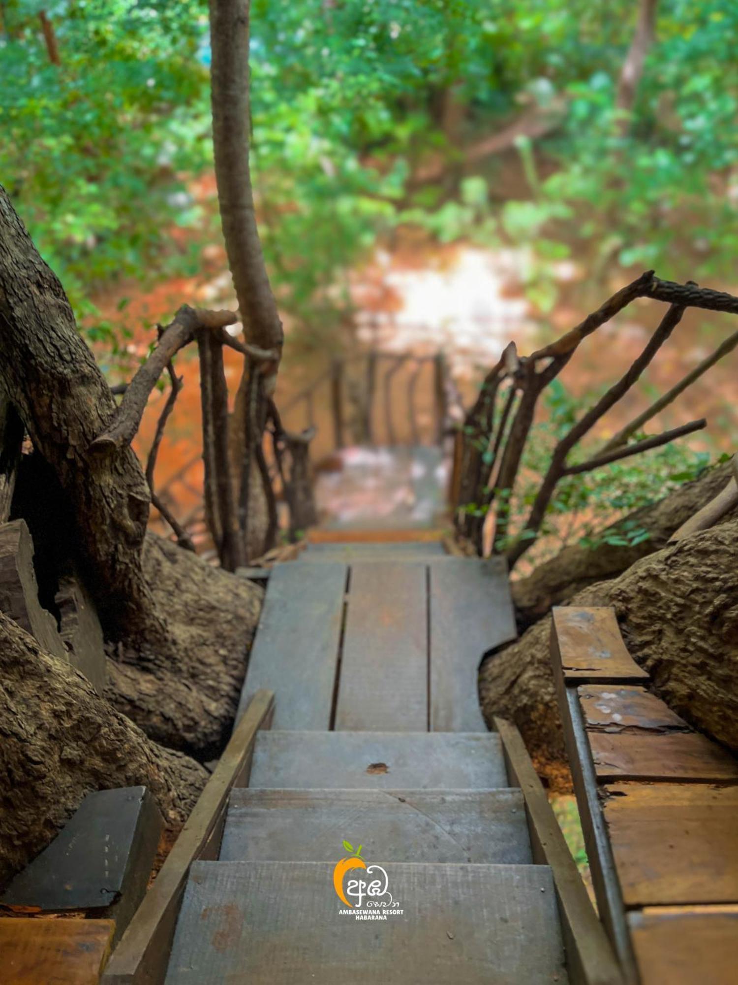 Habarana Tree House Ambasewana Resort 部屋 写真