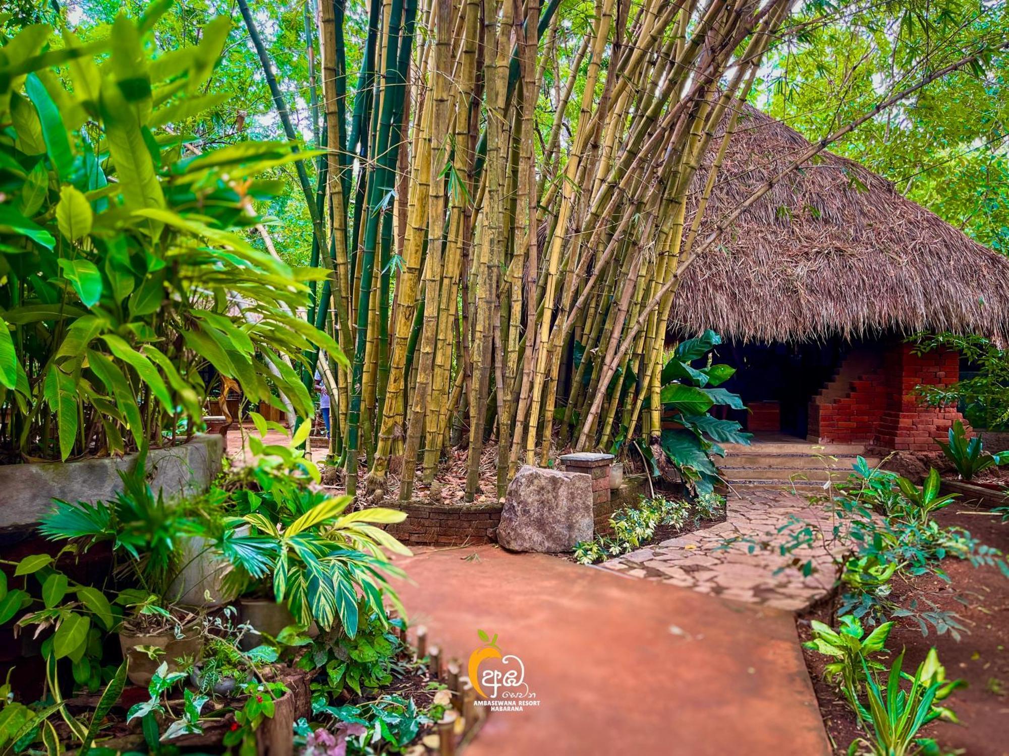 Habarana Tree House Ambasewana Resort エクステリア 写真