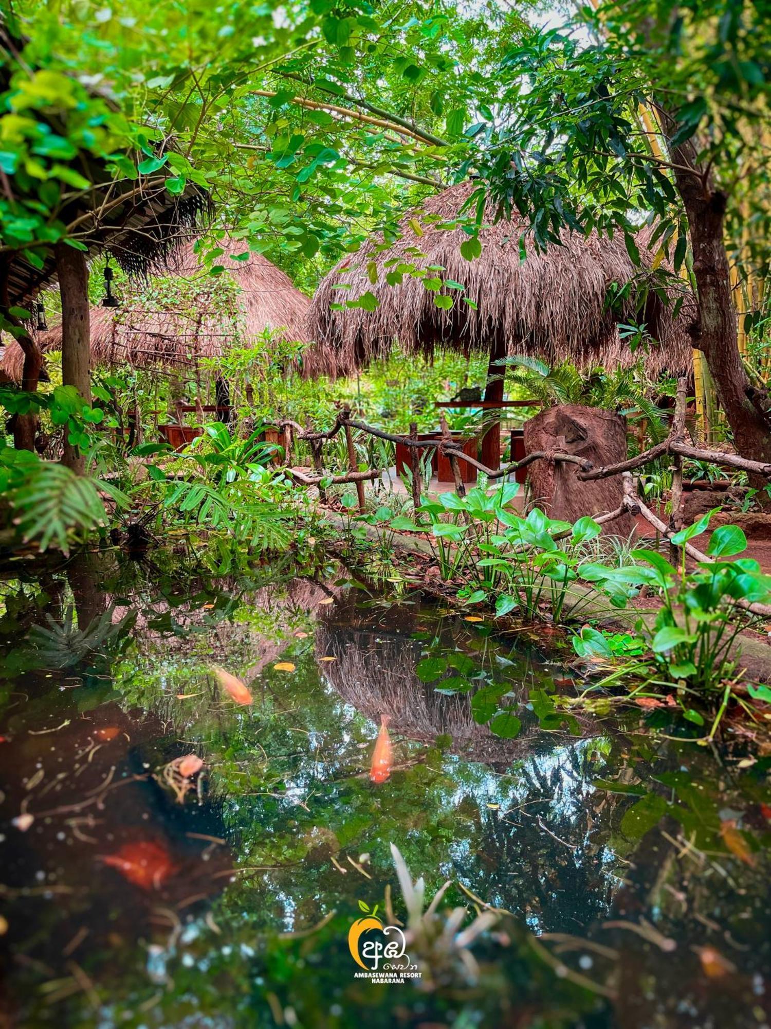 Habarana Tree House Ambasewana Resort エクステリア 写真