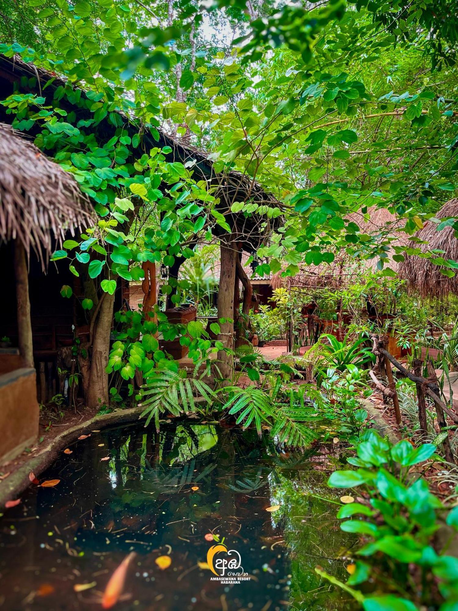 Habarana Tree House Ambasewana Resort エクステリア 写真